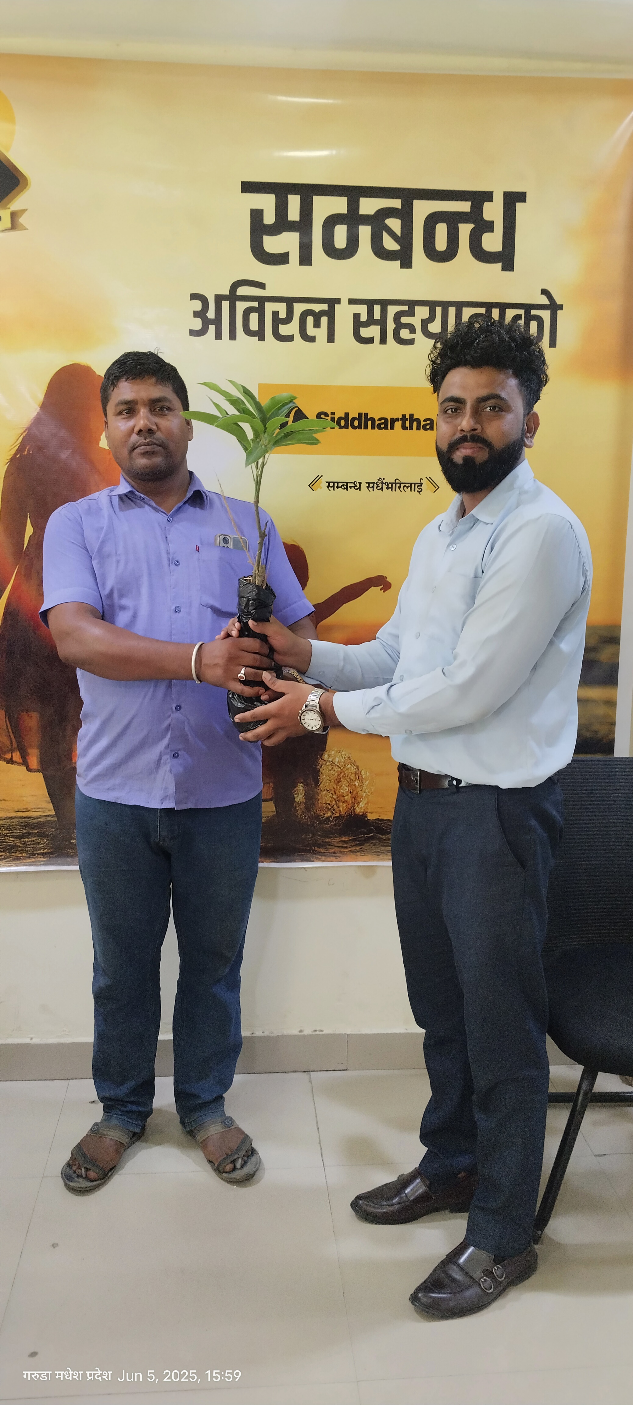 Plant Distribution on the Occasion of World Environment Day 2025