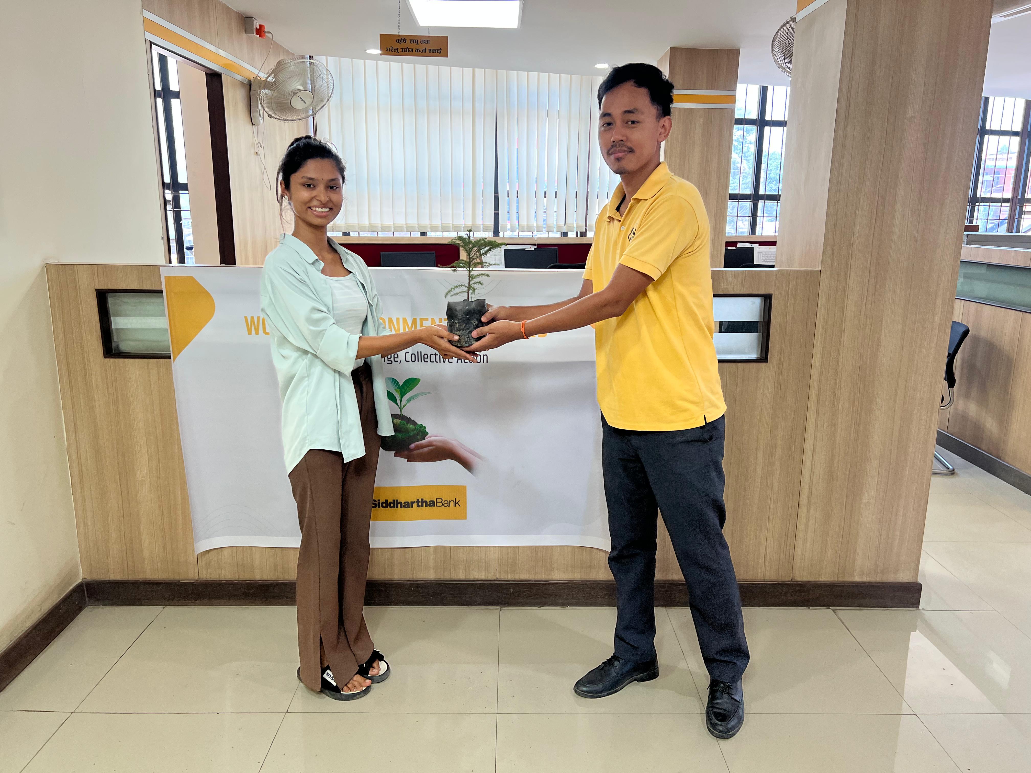 Plant Distribution on the Occasion of World Environment Day 2025