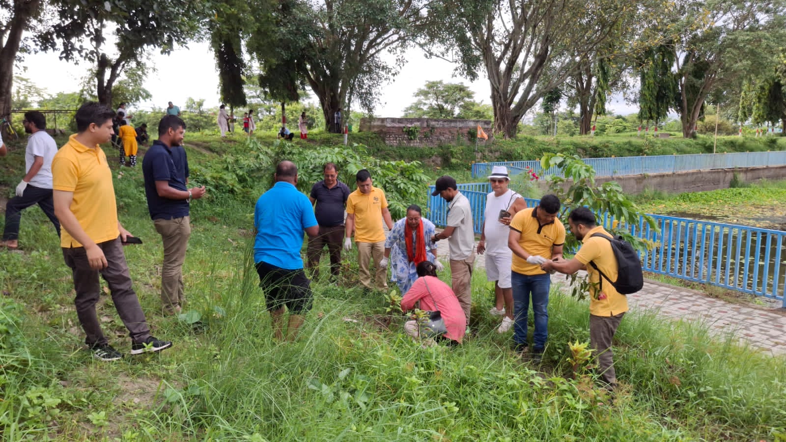 Tree plantation in Biratpokhari in Birtamode Municipality-3